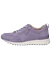 Caprice Sneaker in LAVENDER SUEDE