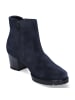 Gabor Stiefeletten in Blau