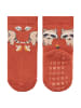 Sterntaler ABS Socken 2er-Pack Waschbär in mittleres braun