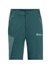 Jack Wolfskin GLASTAL SHORTS M in Laubgrün1756