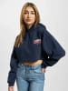 Tommy Hilfiger Kapuzenpullover in blue