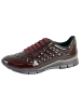 Geox Sukie D Sneaker – GBK NAPL+NAPL Rot
