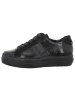 Paul Green Schnürschuh in glitter black