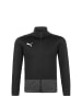 Puma Trainingsjacke TeamGOAL 23 in schwarz / dunkelgrau