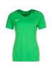 Nike Performance Funktionsshirt Academy 18 in hellgrün / dunkelgrün