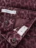 name it Hose in Burgundy