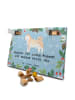 Mr. & Mrs. Panda Hunde Adventskalender Akita Inu Moment mit Spruch in Eisblau