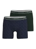 Tom Tailor Long-Pants 2Er Pack Kentucky in grün-mittel-Allover