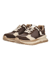 Blowfish Sneaker LEOTINA Espresso