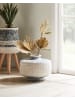 Beliani Blumenvase DEKSATI in Beige/Grau - (W) 39 x (H) 32 x (L) 39 cm