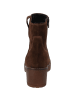 palado Stiefeletten in brown