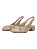 ara Pumps in Beige
