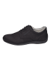 Gabor Sneaker in black