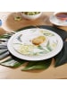 Villeroy & Boch Frühstücksteller Amazonia Anmut ø 22,5 cm in bunt