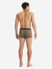 adidas Trunk Active Flex Cotton Body in schwarz, khaki