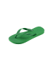 Havaianas Flip-Flops  Top Grün