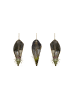 MeinVIPShop Faszinierende Pinnidae Muschel mit einer Tillandsia 3 er Set