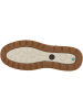 Timberland Sneaker mid Maple Grove Mid Lace Up in dunkelbraun