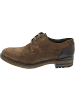 LLOYD HADRIAN Business Schuh Braun