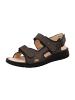 Finn Comfort Komfort Sandalen in Braun