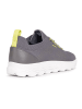 Geox Sneaker Dunkelgrau