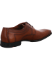 LLOYD Business Schnürschuh in braun