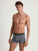 Calida Boxer in Anthrazit