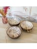 Butlers Kokosnussschale COCONUT 6er-Set in Braun