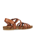 Cosmos Comfort Sandalen in Braun