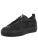 Paul Green Schnürschuh in schwarz