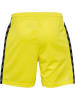 Hummel Hummel Kurze Hose Hmlauthentic Multisport Kinder Atmungsaktiv Schnelltrocknend in BLAZING YELLOW