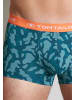 Tom Tailor Hip Pants 5Er Pack Great Falls in grün-dunkel-uni