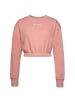 Champion Pullover Crewneck Croptop in rosa