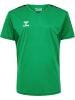 Hummel Kinder Sportshirt "Hmlauthentic Pl Jersey S/S Kids" in Multicolor