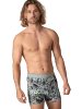 Muchachomalo 4er-Set: Boxershort in Mehrfarbig - für Herren