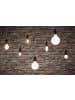 paulmann Filament 230V LED Globe F
