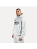 SMILODOX Hoodie Lorik in Hellgrau