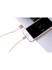 Platyne USB-auf-Lightning-Kabel 1 Meter in Gold