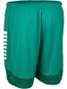 Select Sporthose "Hose Kurz Spain V25" in Grün