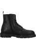 Palado Schnürstiefeletten Nignor in Schwarz