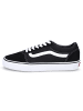 Vans Sneaker in schwarz weiß