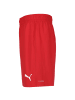 Puma Trainingsshorts teamFINAL in rot / weiß