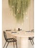MeinVIPShop Luftpflanze 100cm Spanisches Moos XXXL 
