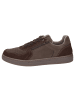 Sioux Sneaker Tertulio-700-H in dunkelbraun