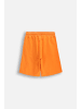 Coccodrillo Kurze Baumwollshorts in orange