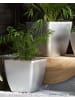 Beliani Outdoor Blumentopf ASTRAS in Silber - (W) 50 x (H) 48 x (L) 50 cm
