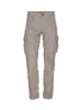 Molecule Cargohose Fitted in Grey