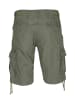 Molecule Cargoshorts Cargo in Olive green