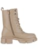 VAN HILL Schnürstiefeletten Olivia in Tan