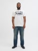 JACK & JONES PLUS 3er-Pack T-shirt in Black